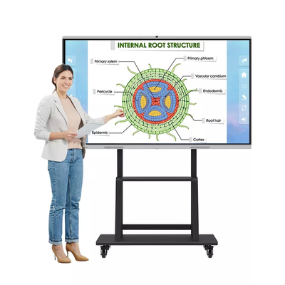 Dual System Interactive Whiteboard , All In One 65 Inch Smart Board
